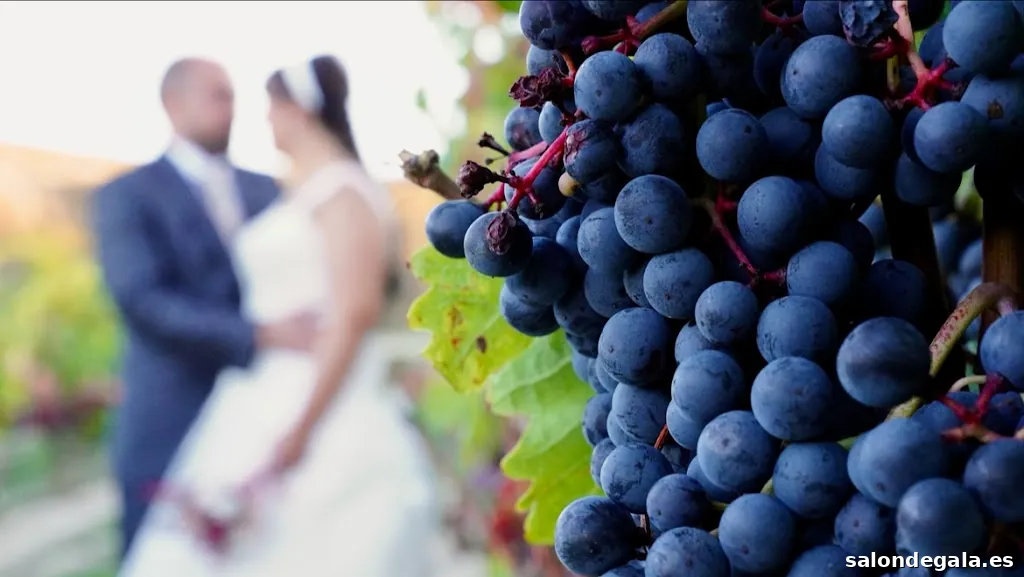 Joaquín Mayayo - Fotógrafo de Emociones