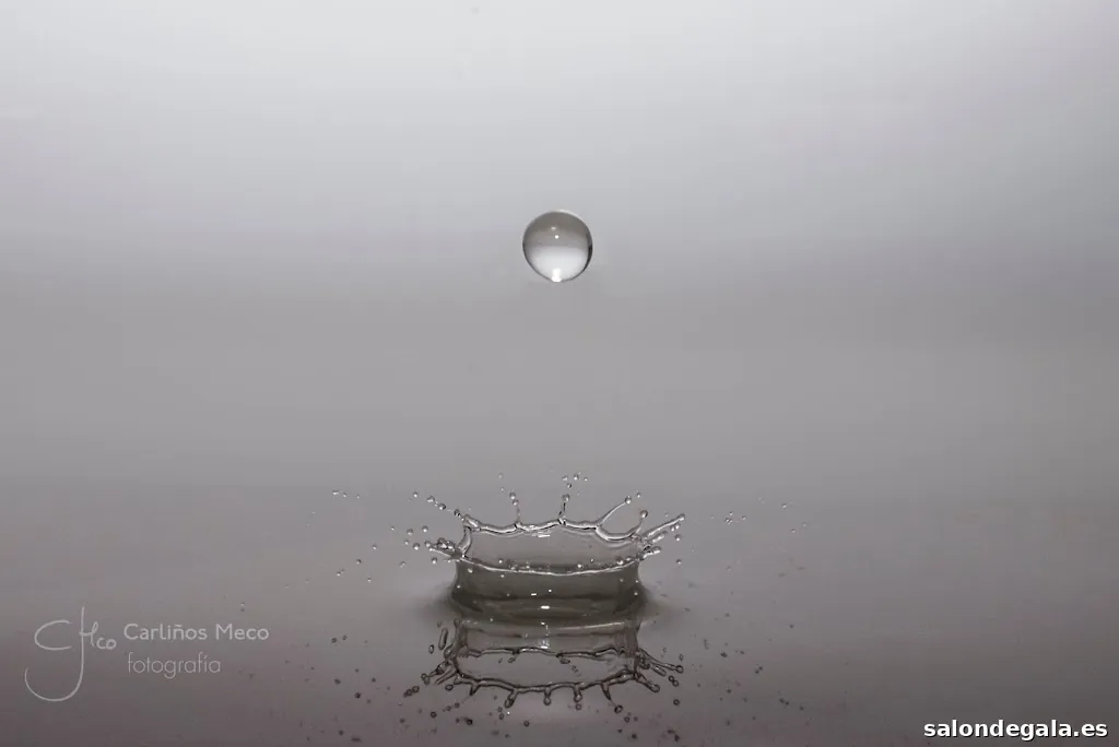 Carliños Meco Fotografía