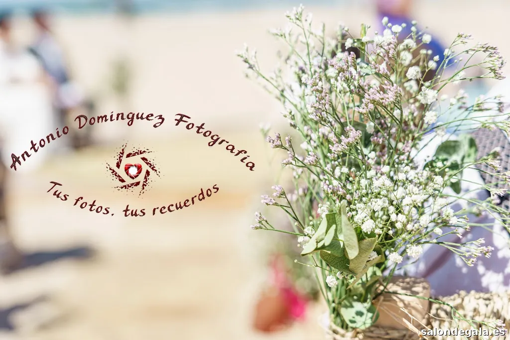 Antonio Domínguez Fotografía