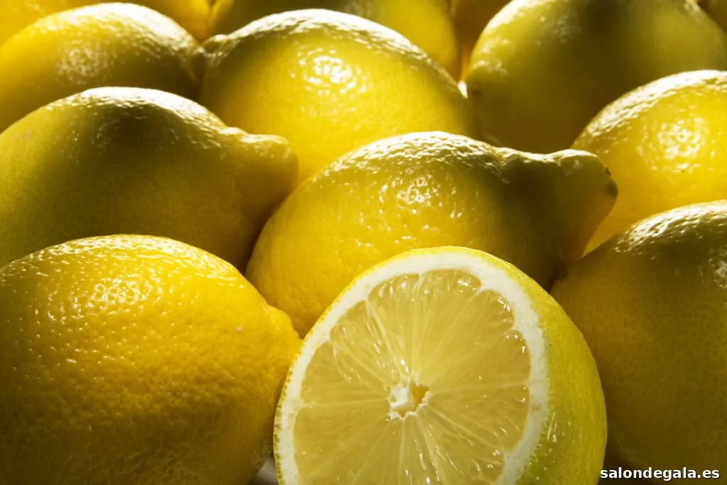 Clickfoto by Michael Fotógrafo Alcañiz