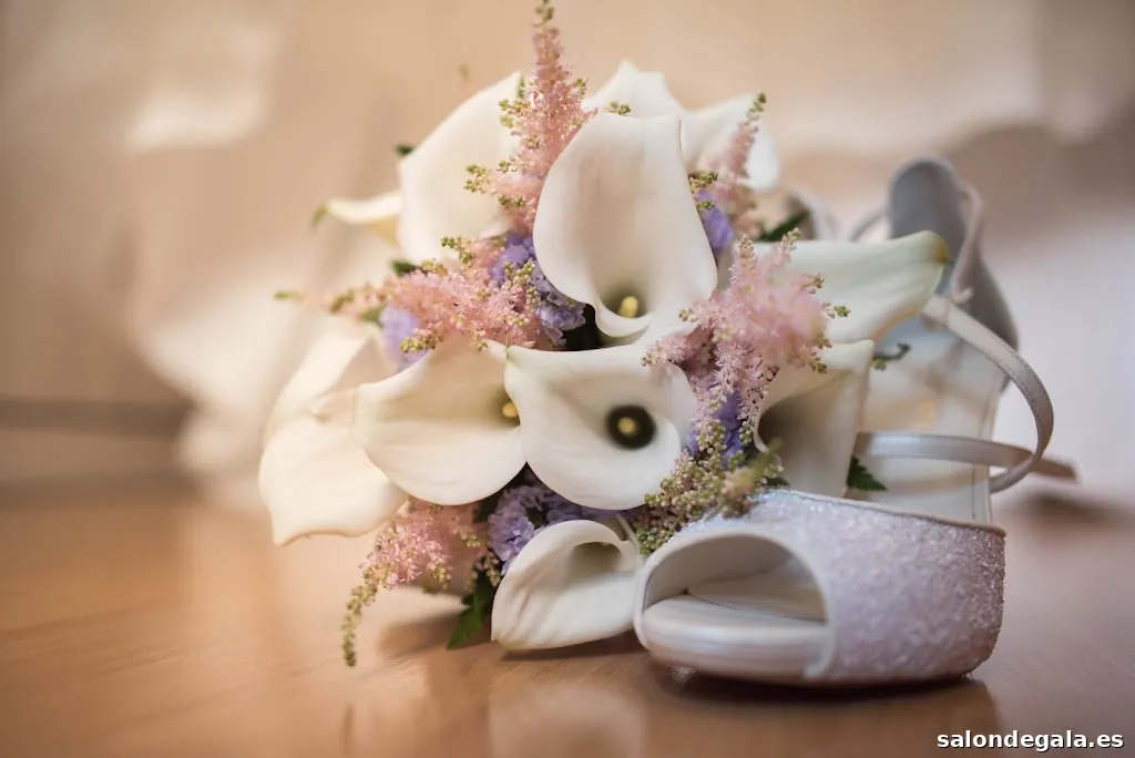 Alfonso y Mercedes Fotógrafos