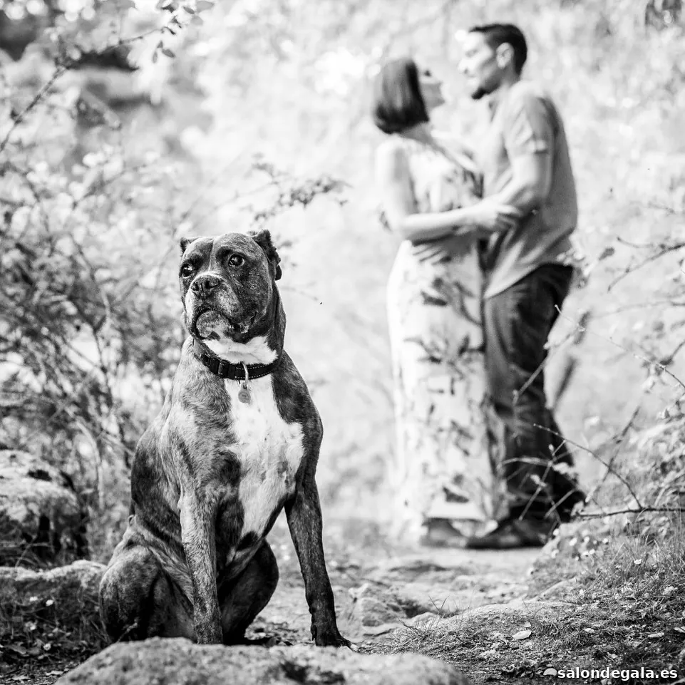 Miguel Angel Martínez - Fotógrafo Profesional