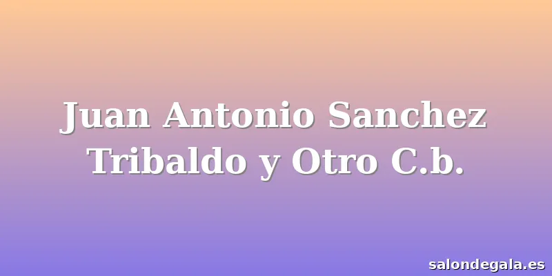 Juan Antonio Sanchez Tribaldo y Otro C.b.