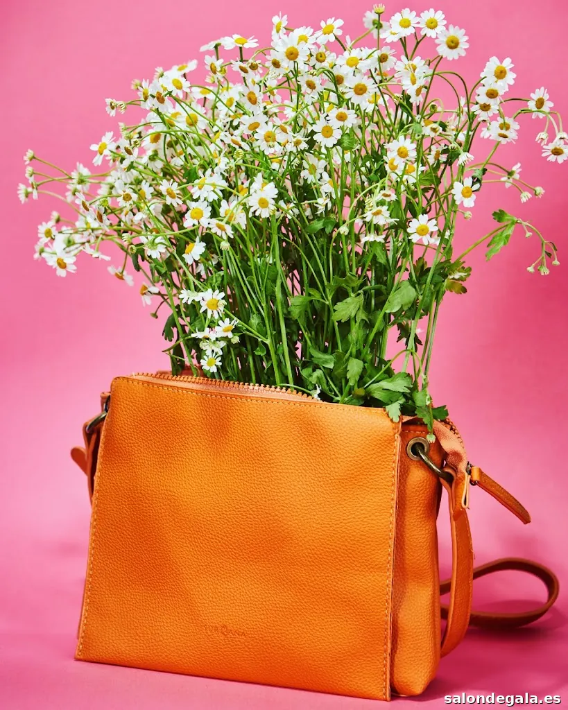 Bitz Sanz Photography