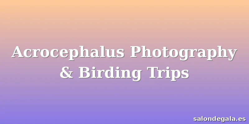 Acrocephalus Photography & Birding Trips