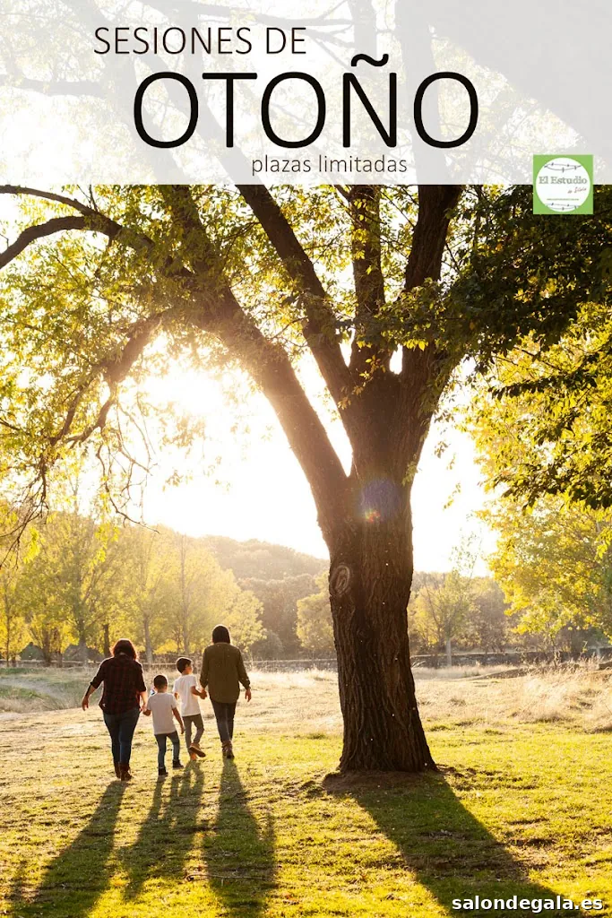 El Estudio de Silvia