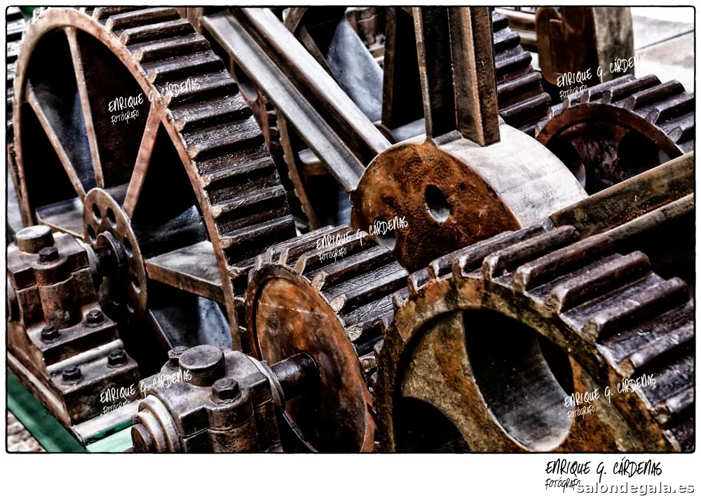 Enrique G. Cárdenas. Fotógrafo