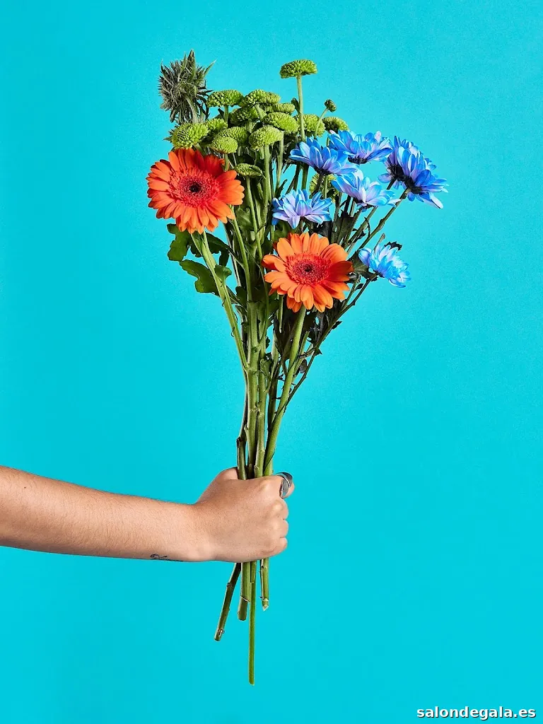 Alex Serrano Estudio