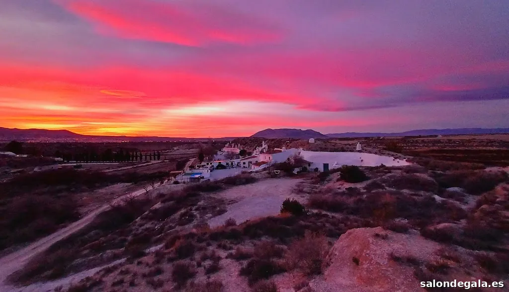 Daves Photography World