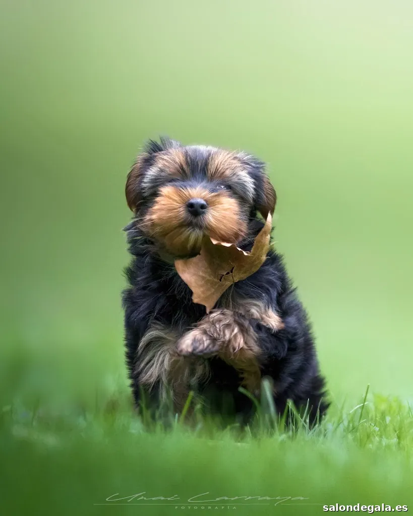 Unai Larraya - Producciones Audiovisuales