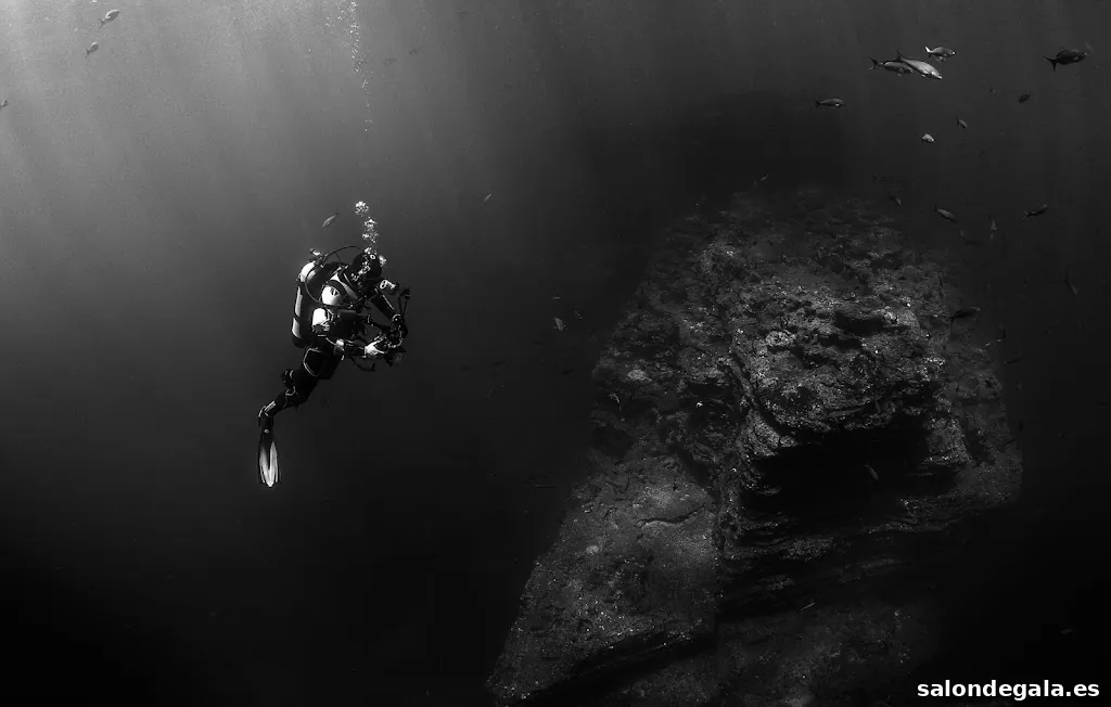 Mare Nostrum Gráficas