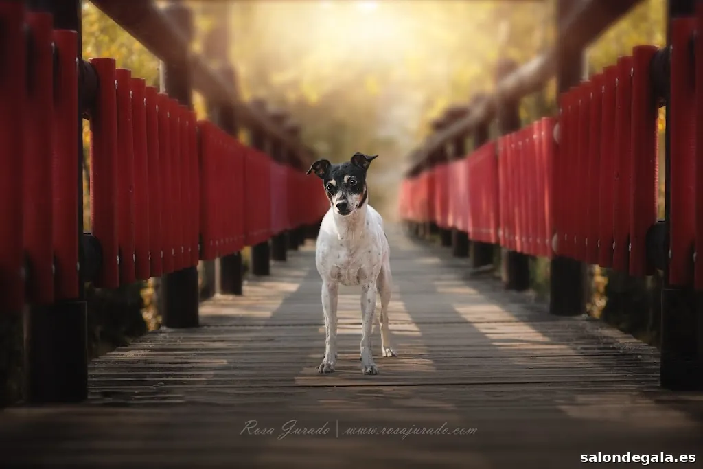 Rosa Jurado Fotógrafa