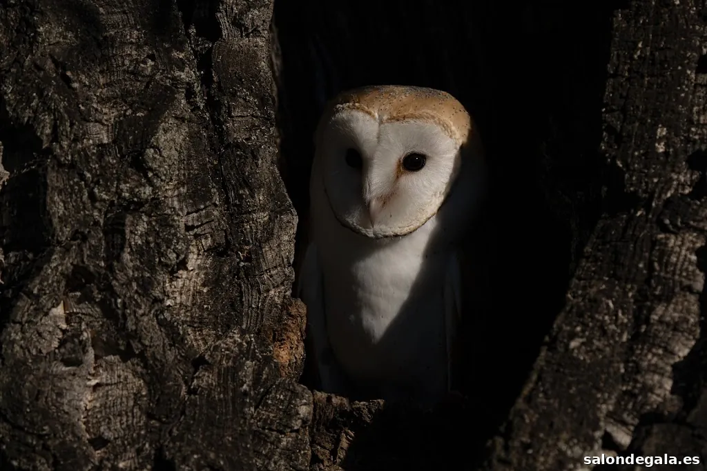 Lorena Angarita Fotografia