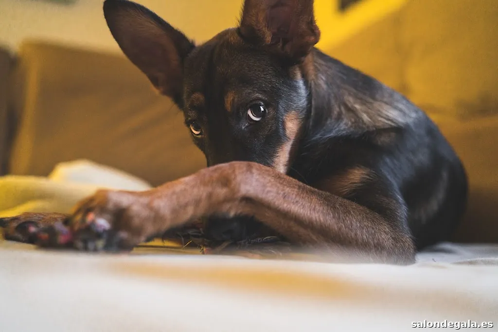 Orion Menorca - Fotógrafía profesional