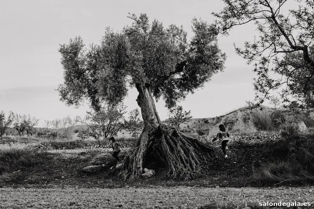 Fotógrafo de Familia Zaragoza | Marta Monreal Fotografía