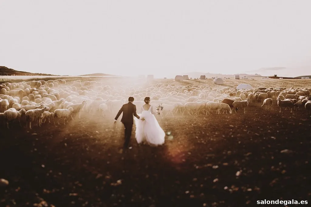 People Truelove Tellers - Fotógrafos de boda