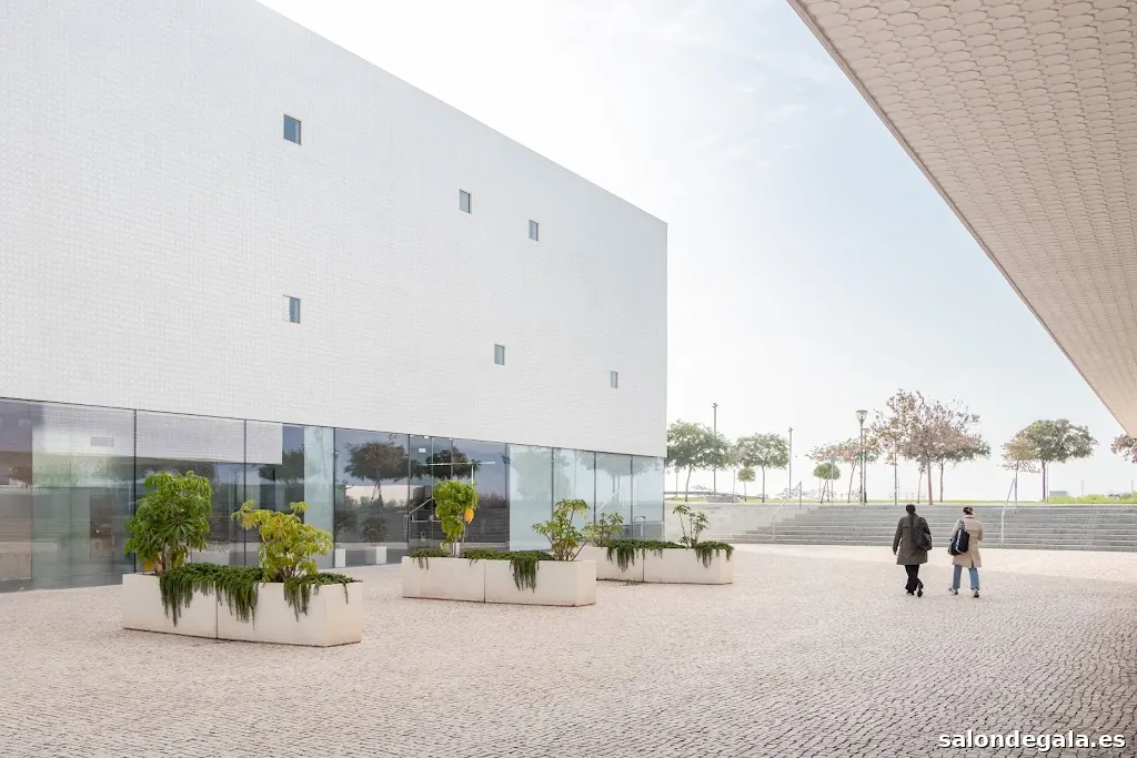 Adrián Rubín de Celis