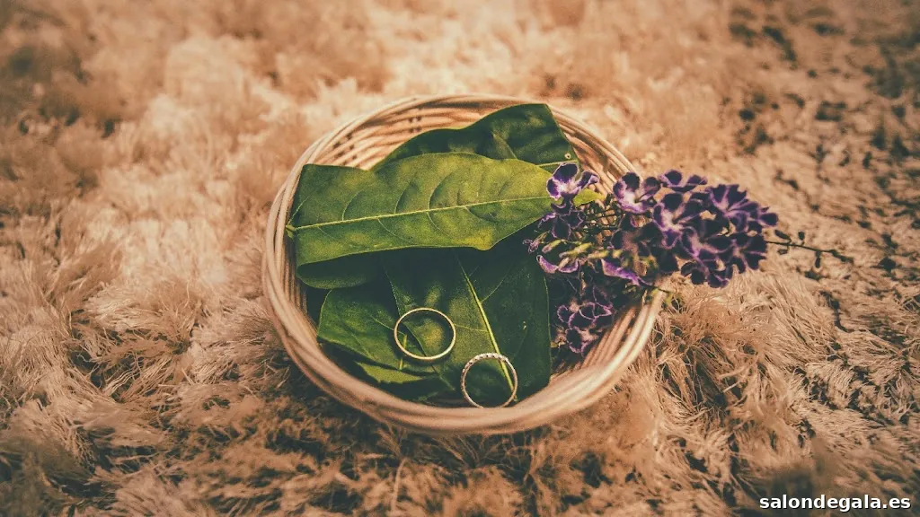 Alejandro Acuña Fotógrafo