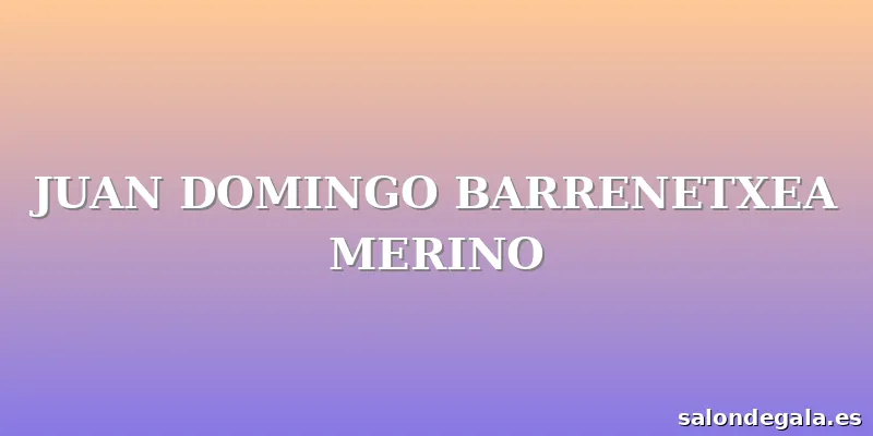 JUAN DOMINGO BARRENETXEA MERINO