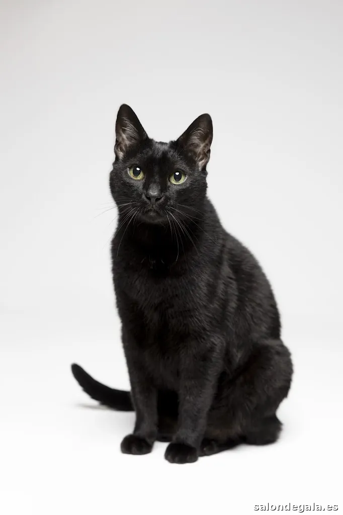 María Muñoz PhotoStudio