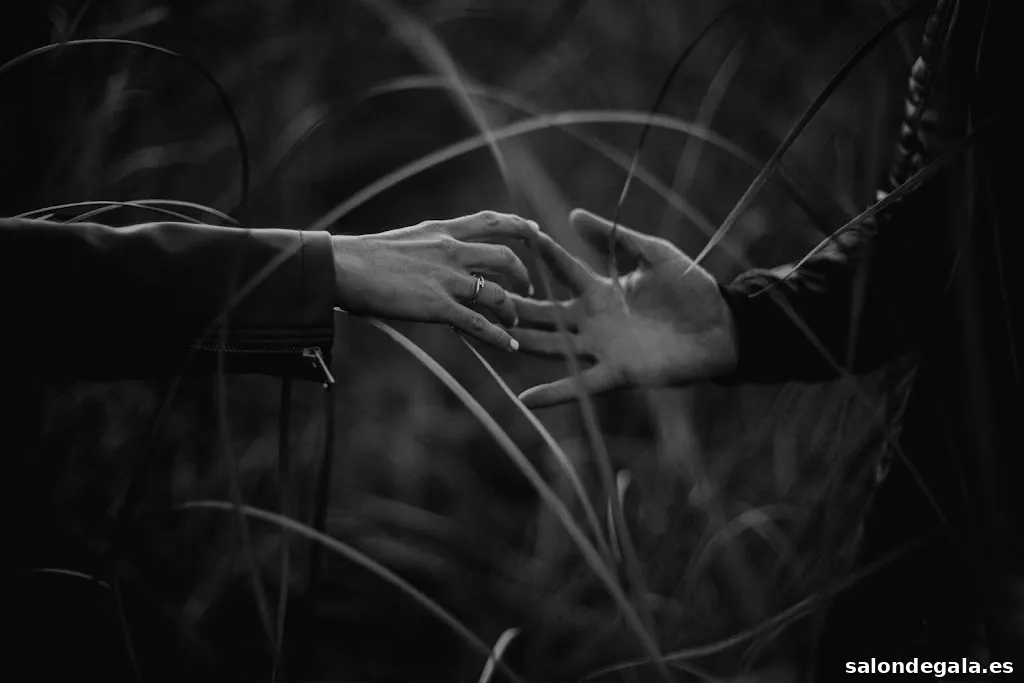 Estrella Díaz Photovisual