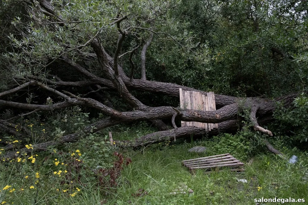 César Cobo Ikazategui