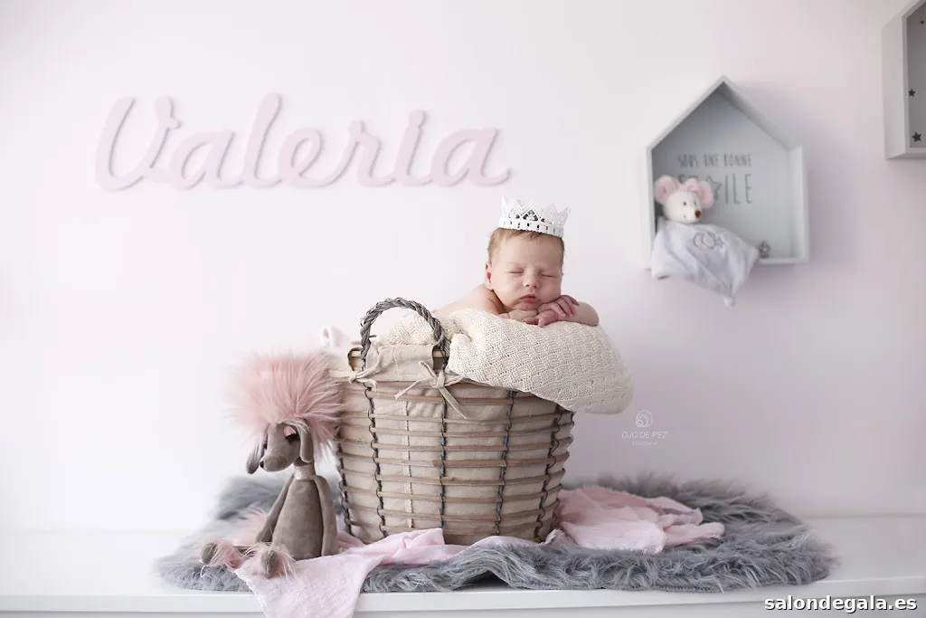 Ojo de pez fotografía