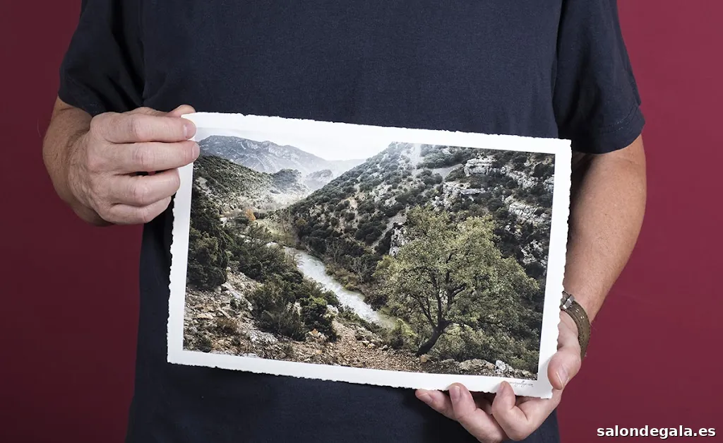 Javier Prieto Gallego - Photoservices