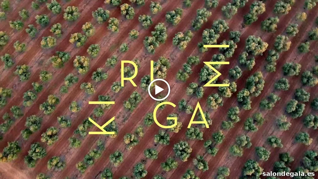 Kirigami - Videografos de Historias Felices