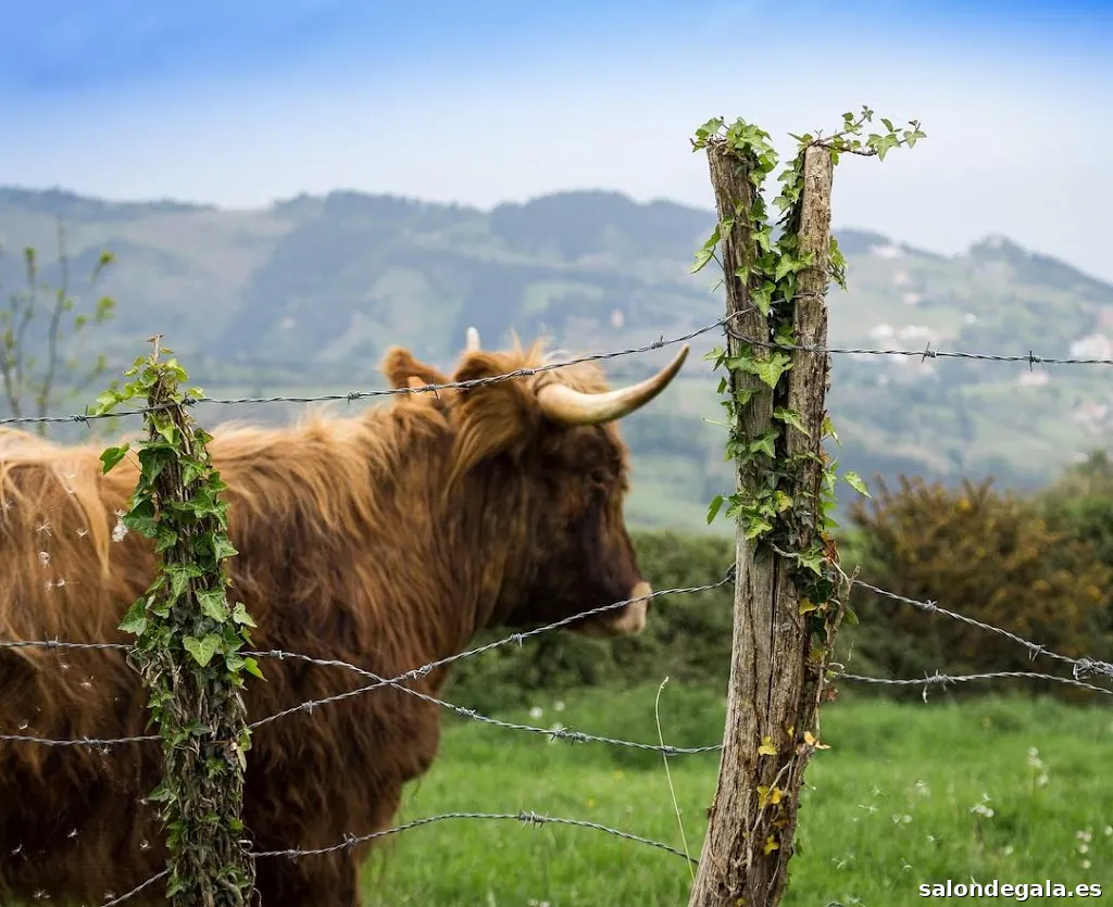 Hector Fraguas Fotografia