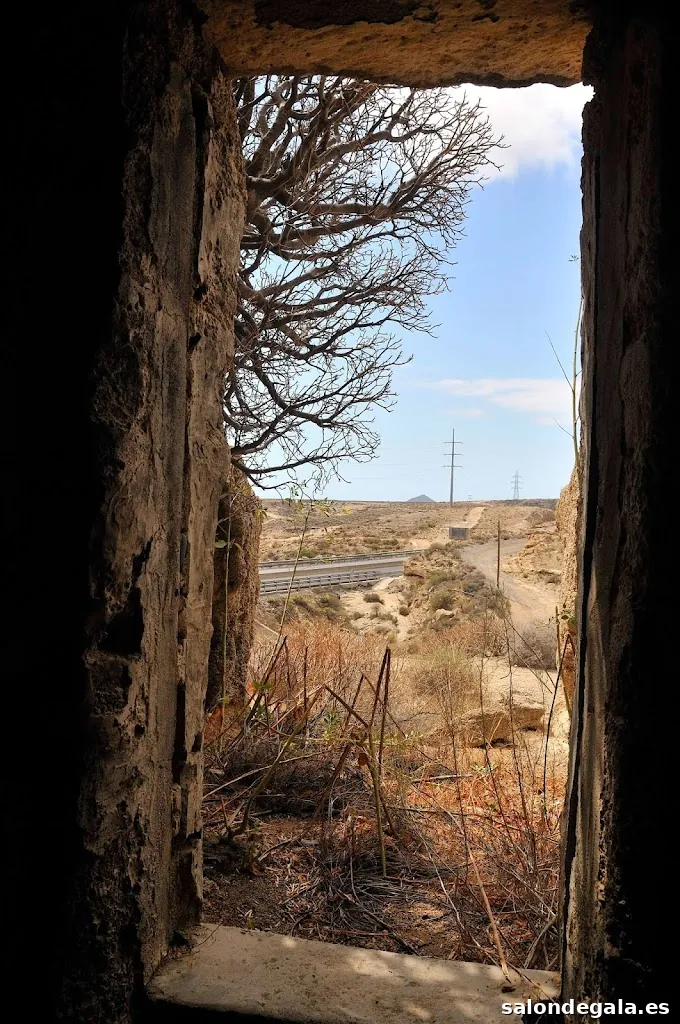 Foto Aldomán Fotografía Social, Estudio e Industrial