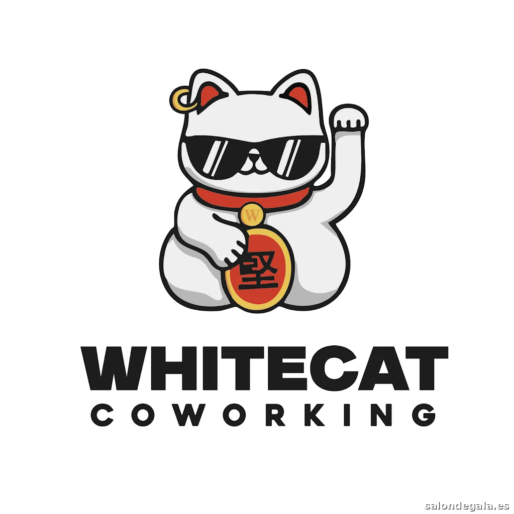 White Cat studio