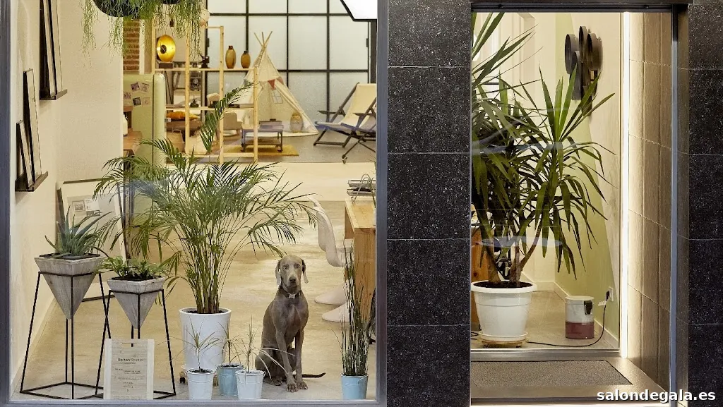 Belton Studio - Estudio de fotografía y productora de vídeo