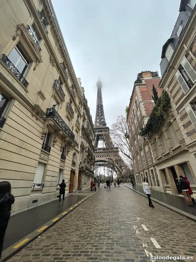 White Dragon | Creative Studio