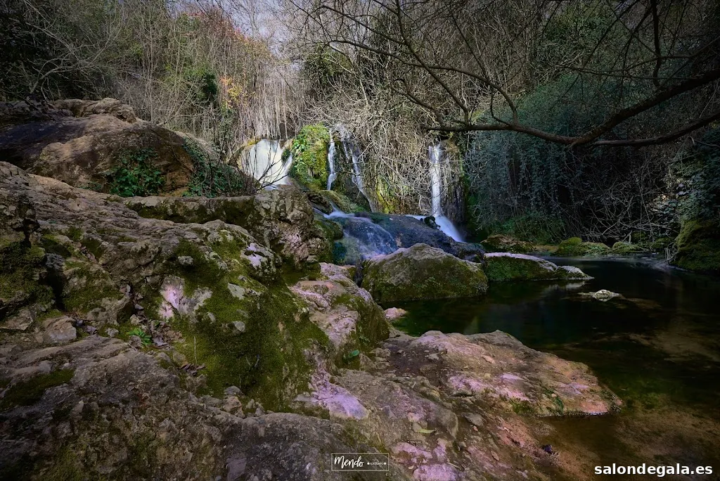 Guillermo Mendo. Pro Foto & Vídeo