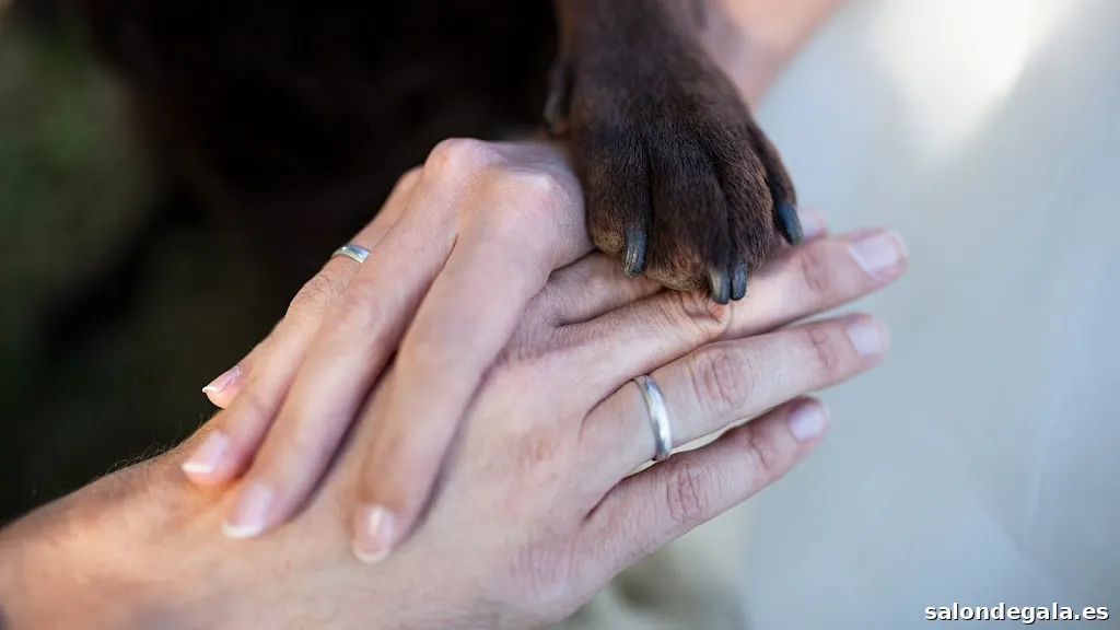 Adriana Fariñas Photography Studio