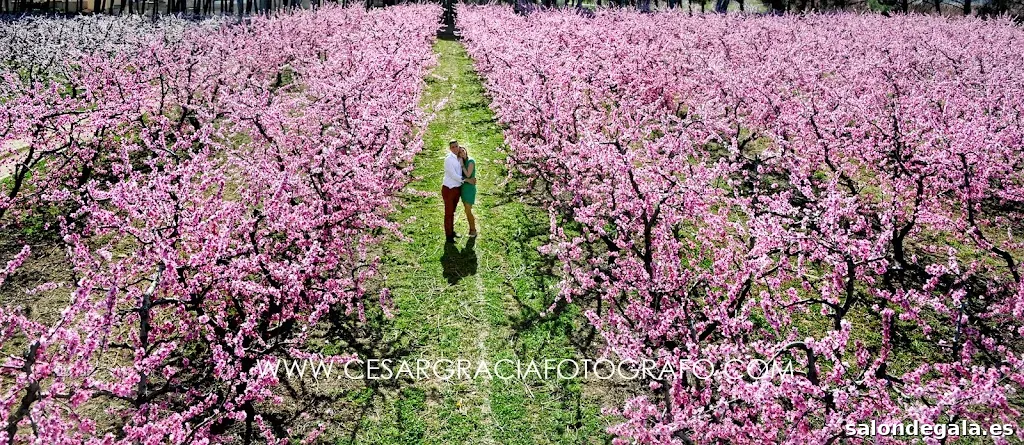 Cesar Gracia Fotógrafo