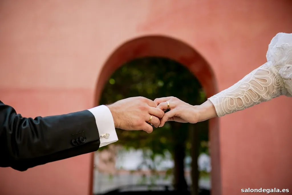 Bigote Verde Fotografía