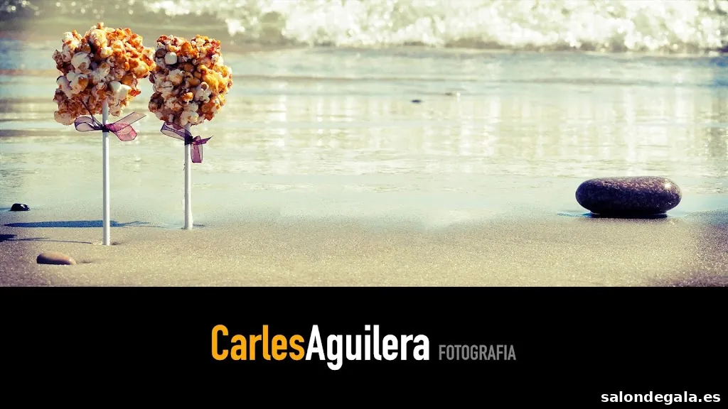 Carles Aguilera-Fotografia & Video