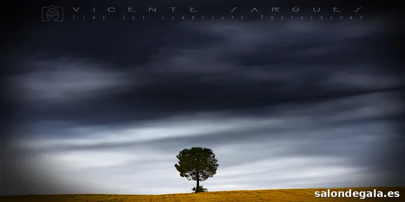 Vicente Sargues - Arte