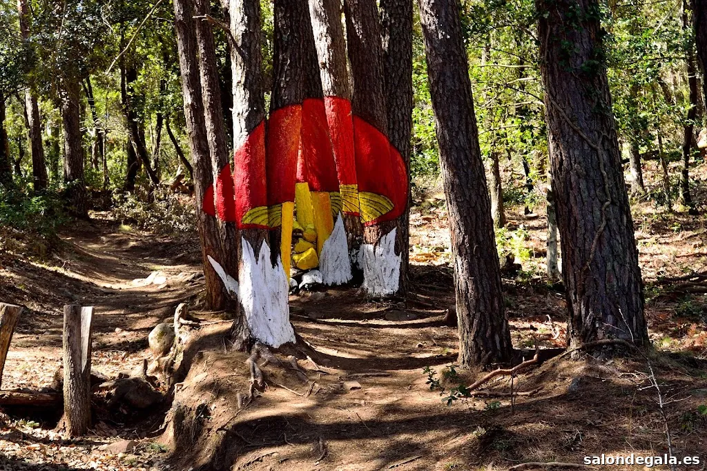 JORDI MILLÀS Freelance Photo