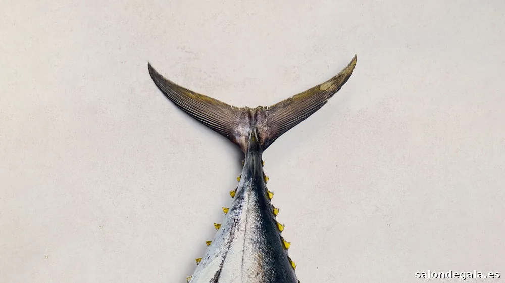 Xosé Durán fotógrafo