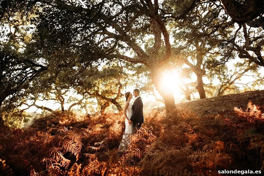 Fotógrafo de bodas - Roberto Pecino
