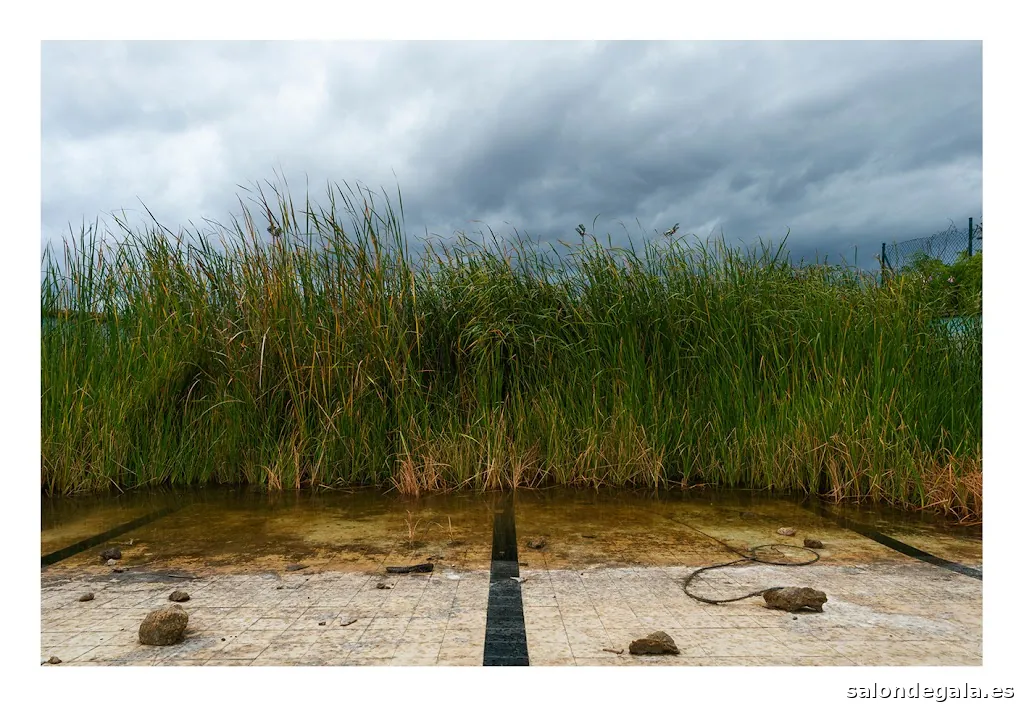 JOAN FORTEZA PHOTOGRAPHER